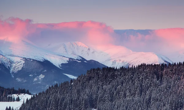 Vinter — Stockfoto