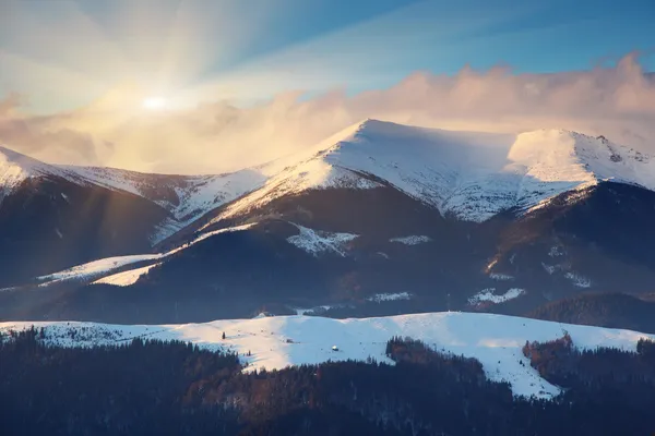 Vinter — Stockfoto