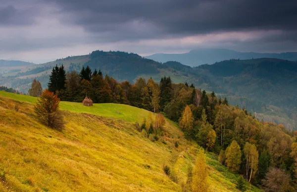 Autumn — Stock Photo, Image