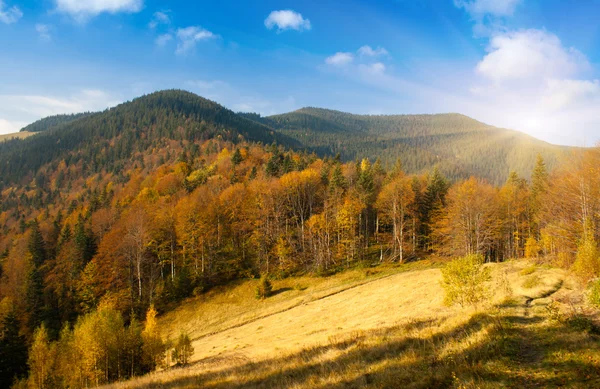 Höst — Stockfoto