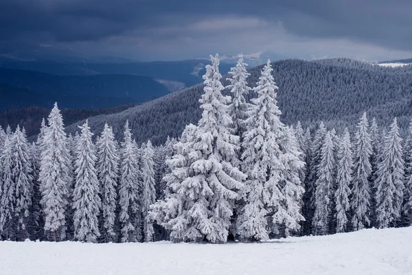 Inverno — Fotografia de Stock