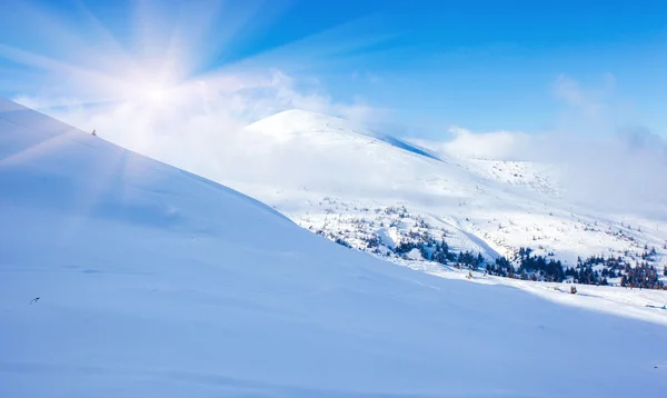 Inverno — Fotografia de Stock