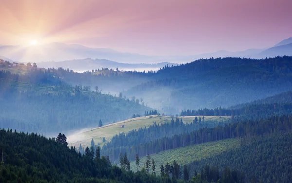 Zonsondergang — Stockfoto