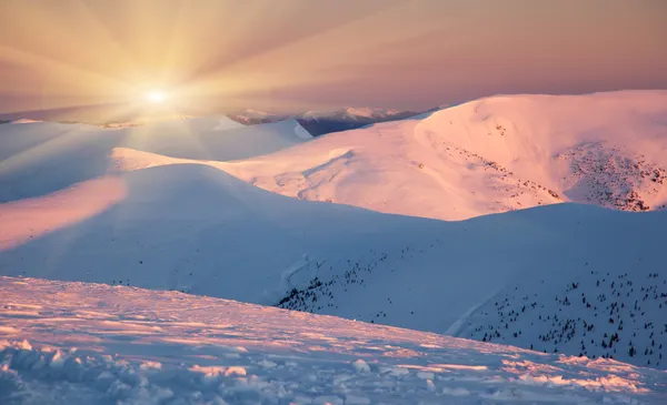 Vinter — Stockfoto