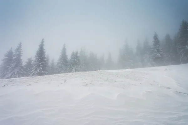 Kış — Stok fotoğraf