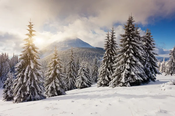 Vinter — Stockfoto