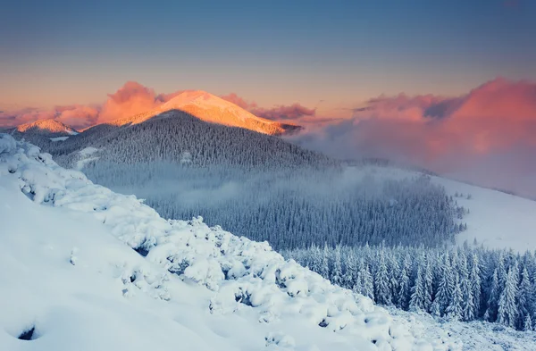 Vinter — Stockfoto