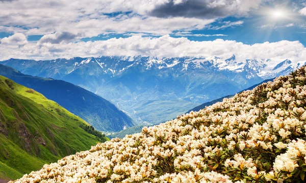 Berglandschap — Stockfoto