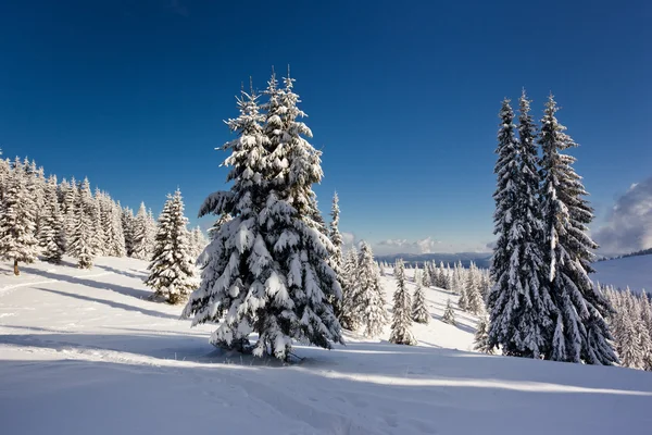 Inverno — Fotografia de Stock