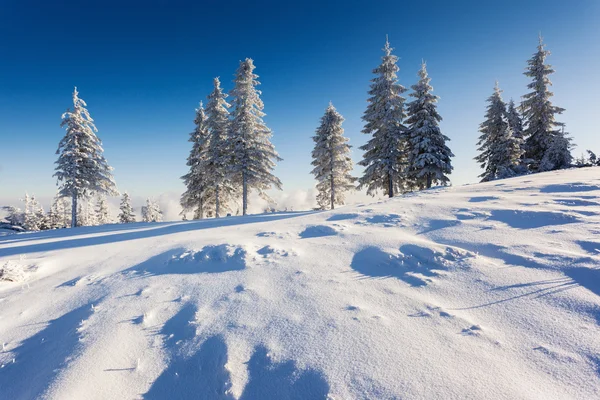 Invierno —  Fotos de Stock