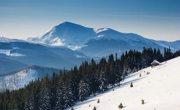 Vinter — Stockfoto