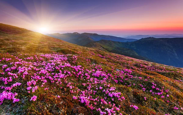 Bergen landschap — Stockfoto