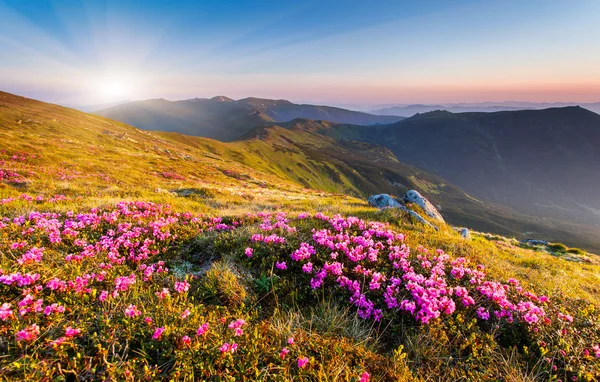 Bergen landschap — Stockfoto