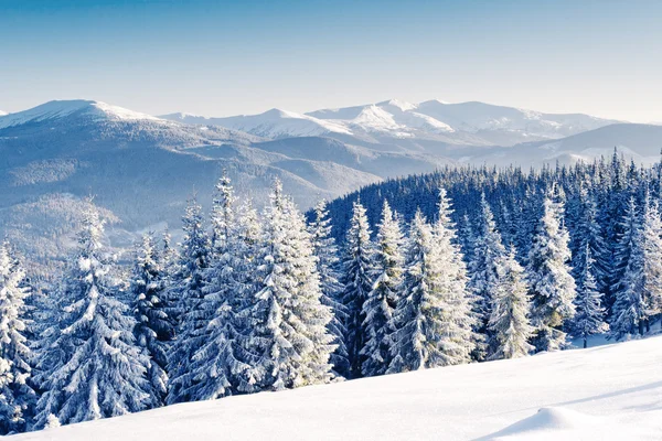 Paesaggio montano — Foto Stock