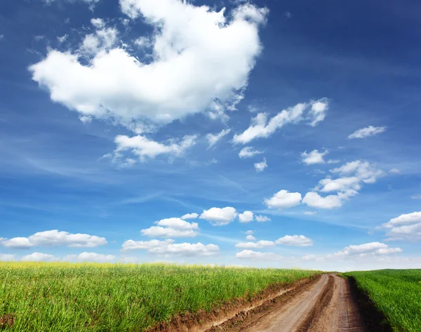 Field — Stock Photo, Image