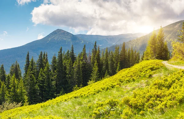 Berglandschap — Stockfoto