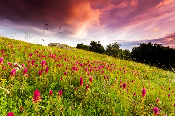 Bergslandskap — Stockfoto