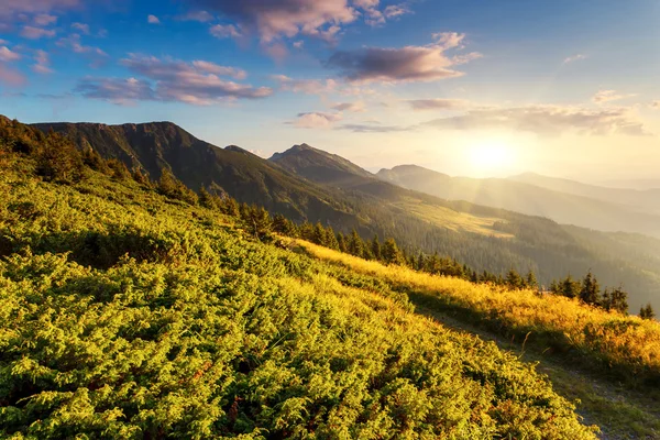 Berglandschaft — Stockfoto