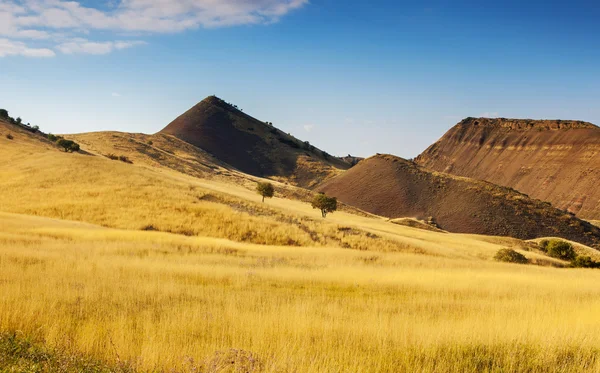 Grasland — Stockfoto