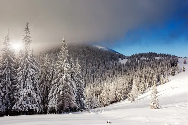 Vinter — Stockfoto