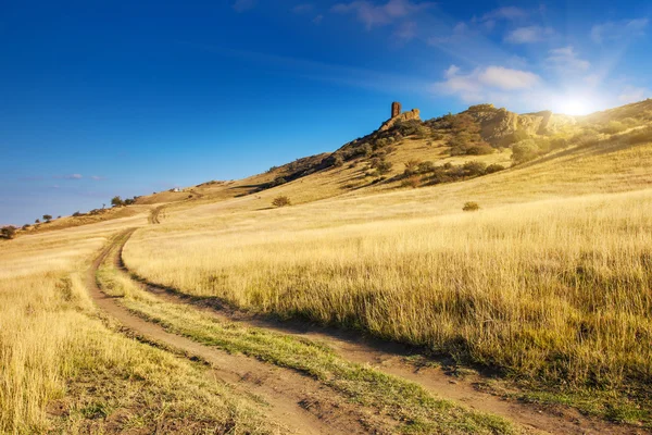 Grasland — Stockfoto