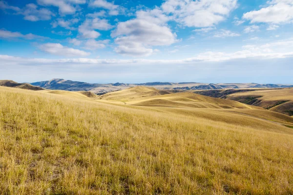 Pradera —  Fotos de Stock