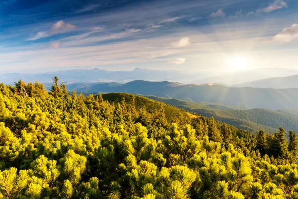 Berglandschap — Stockfoto