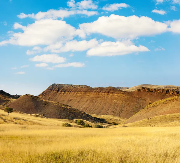 Grasland — Stockfoto