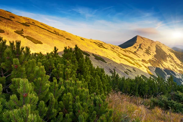 Paisaje de montaña —  Fotos de Stock