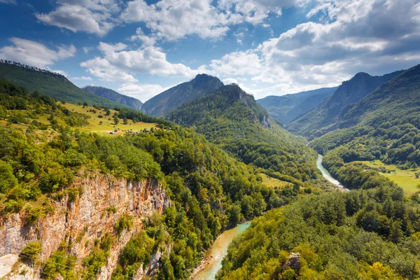Fantastisk utsikt tara river gorge — Stockfoto