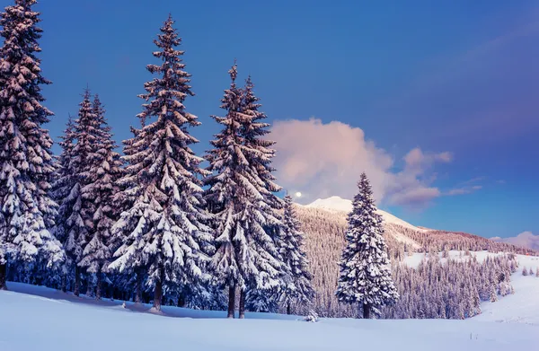 Сказочный зимний пейзаж — стоковое фото