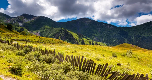 Hermosa vista de los prados alpinos . — Foto de Stock