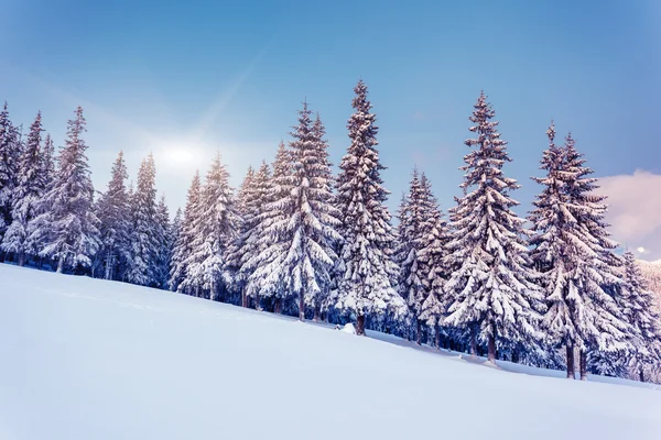 Fantastyczny zimowy krajobraz. — Zdjęcie stockowe