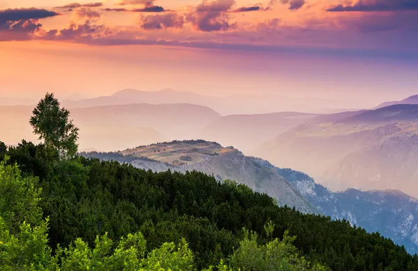 Vista fantastica gola del fiume tara — Foto Stock