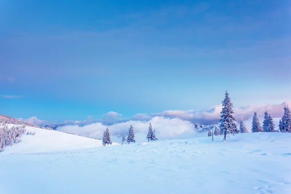 Fantástico paisaje de invierno. —  Fotos de Stock