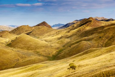 Gürcistan ve Azerbaycan arasında zemin atık
