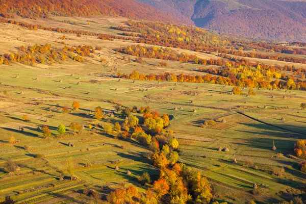 화려한 숲과 산악 풍경 — 스톡 사진