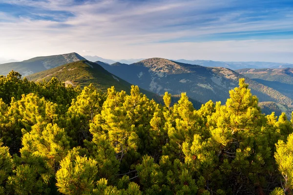 Ländliche alpine Landschaft. — Stockfoto