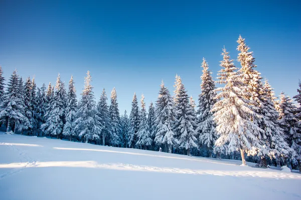 Fantastico paesaggio invernale. — Foto Stock