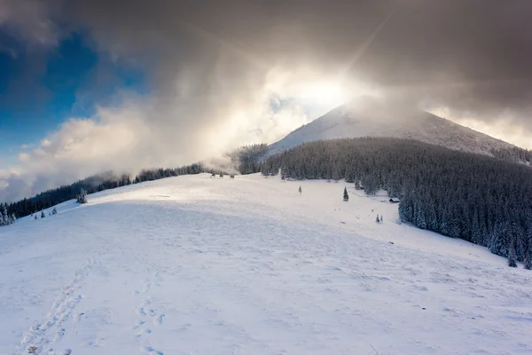 환상적 인 겨울 풍경. — 스톡 사진