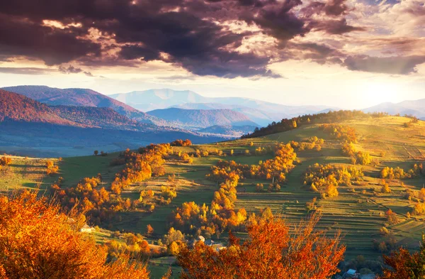 Paysage de montagne avec forêts colorées. — Photo