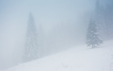 Güzel kış manzarası