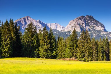 Dağları Milli Parkı durmitor