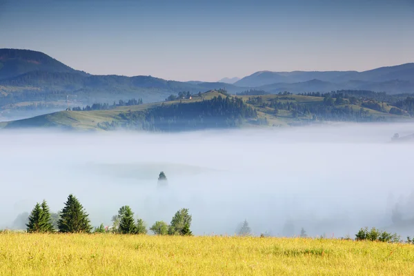 Sunny day is in mountain landscape. — Stock Photo, Image