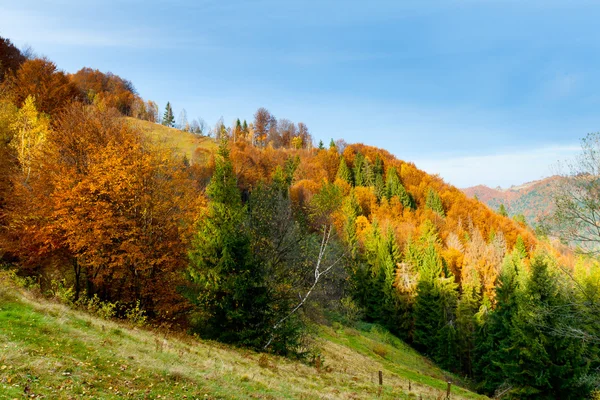 Bergische Herbstlandschaft — Stockfoto