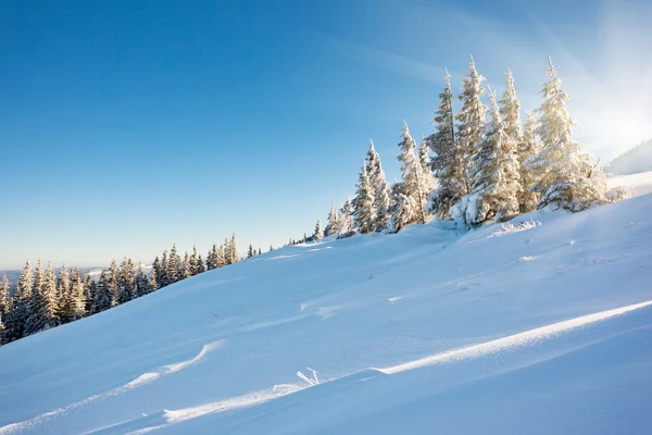 Sonniger Tag in den Bergen — Stockfoto