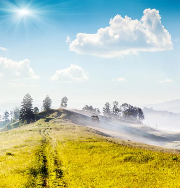 Summer morning in the mountains. — Stock Photo, Image