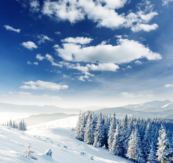 Schöne Winterlandschaft — Stockfoto