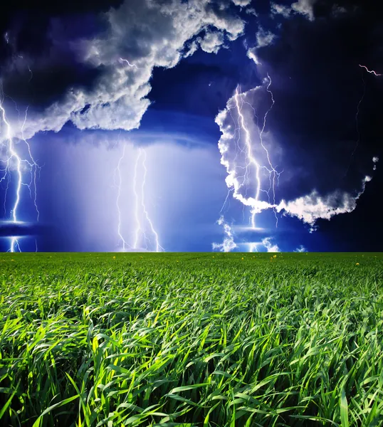 Thunderstorm with lightning in green meadow — Stock Photo, Image