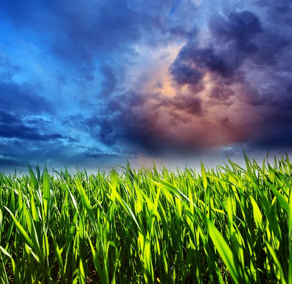 Cielo drammatico prima della tempesta . — Foto Stock